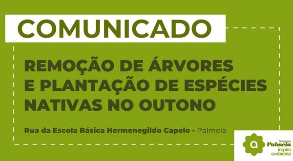 noticia_ambiente_revista