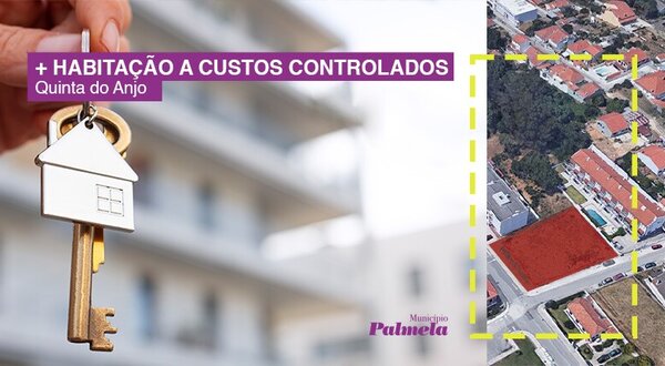 noticia_template_roxo