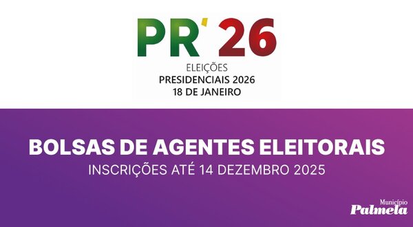 noticia___constituicao_de_bolsas_de_agentes_eleitorais