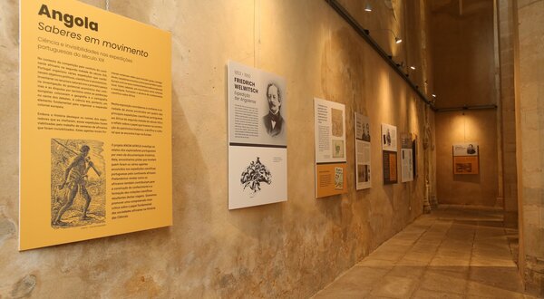 exposicao_angola_saberes_em_movimento__pjf_20260309_003