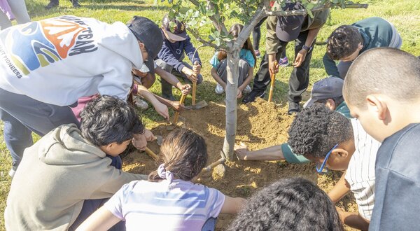 planta_arvores_visteon_monte_francisquinho_paf_pnovo20260324_054