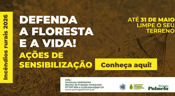 noticia_acoes