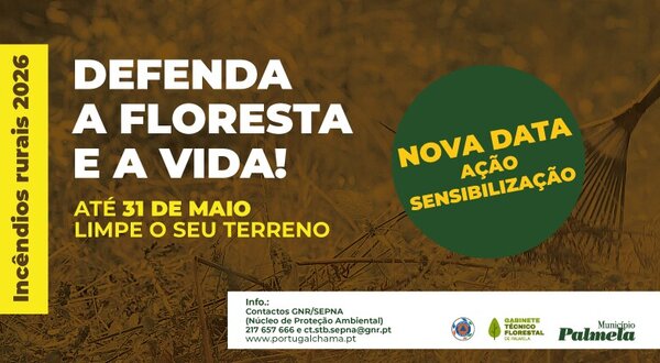 noticia_acao_quinta_do_anjo