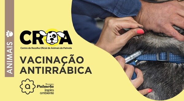 noticia