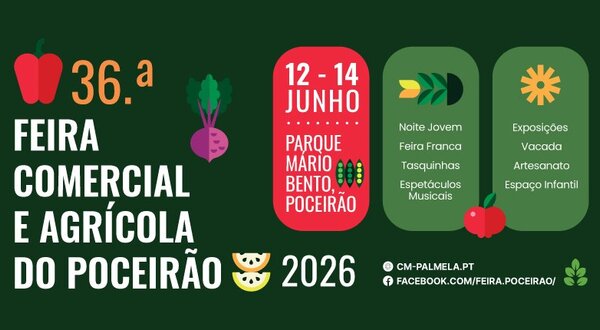 noticia