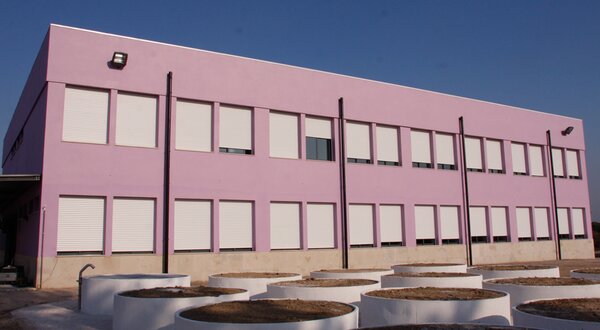 escola-jose-saramago