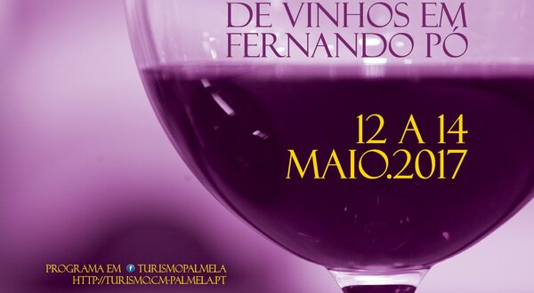 Mostra_Vinhos_2