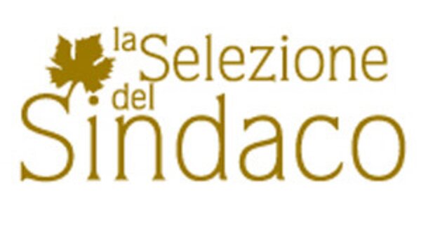 selezione-del-sindaco