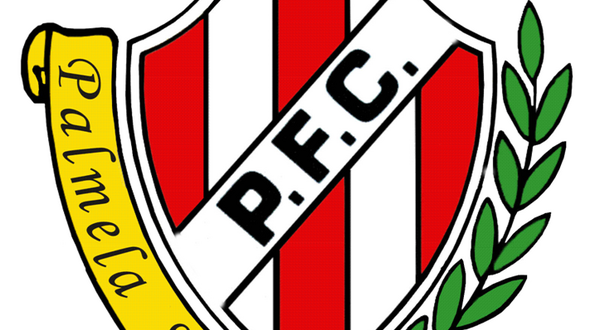 1972349_781576795221754_7884079667102916802_n