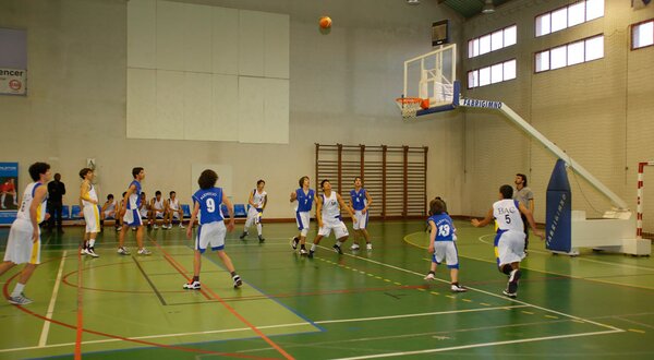 basquetebol2