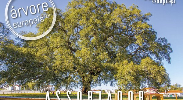 ASSOBIADOR-_RVORE-DO-ANO-2018-noticia