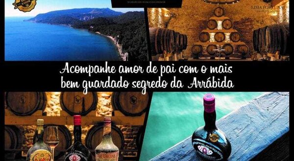 29356688_2099853780041352_7165647634768592896_n