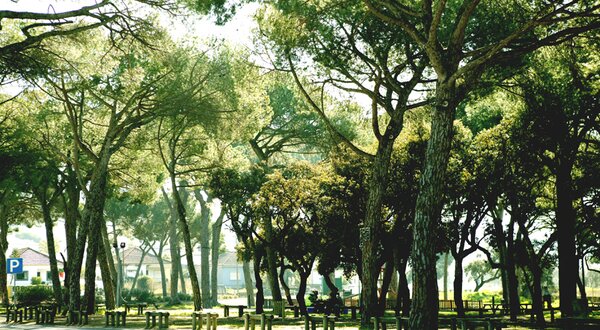 s-gon_alo-parque-de-merendas