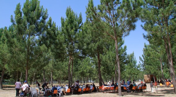 IDOSOS-COM-TRADI__ES