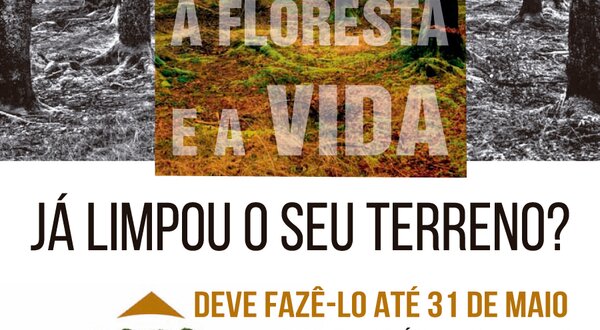 defesa-floresta