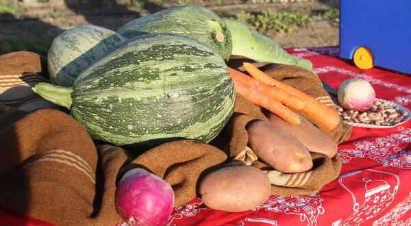 feira_agricola_poceirao