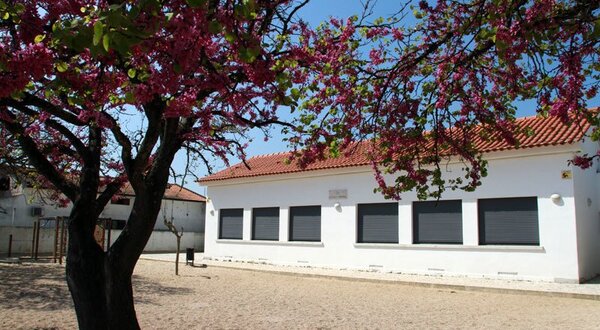 escola_brejos_do_assa