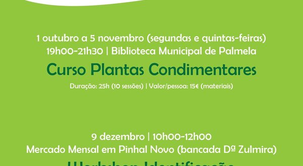 workshop_plantas