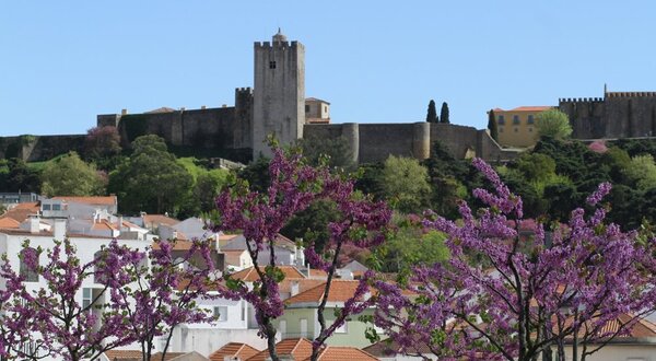 castelo__2_