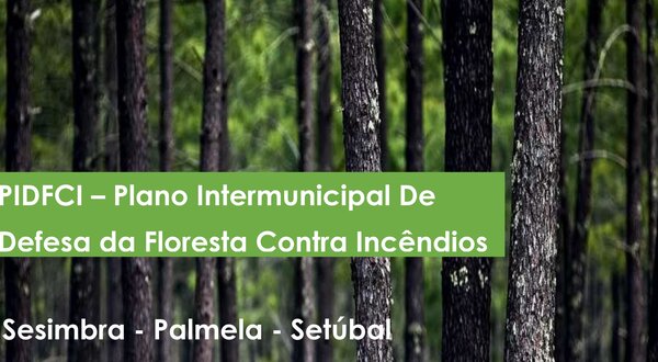 plano_intermunicipal