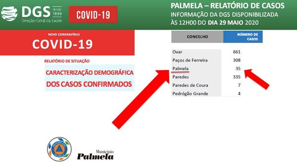 info_covid19_palmela_dia_29maio