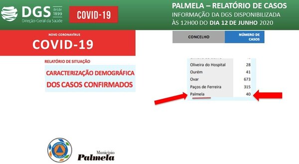 info_covid19_palmela_dia12junho