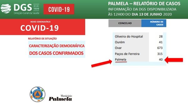 info_covid19_palmela_dia13jun20