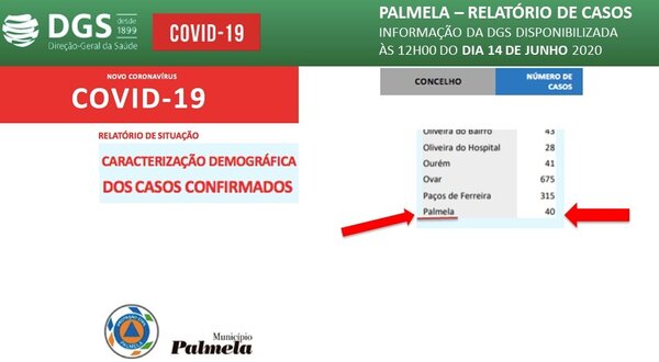 info_covid19_palmela_dia14junho_2020