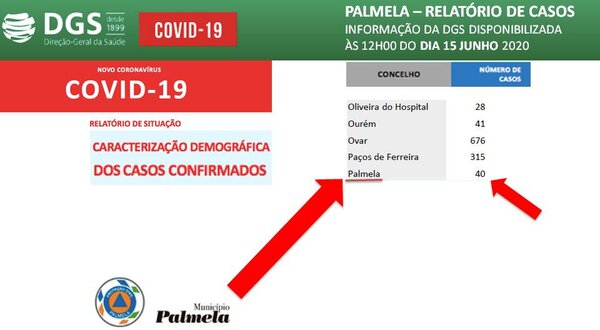 info_covid19_palmela_dia_15junho