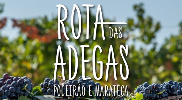 banner_rotadasadegas