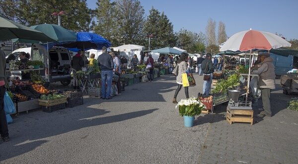 mercado_produtores