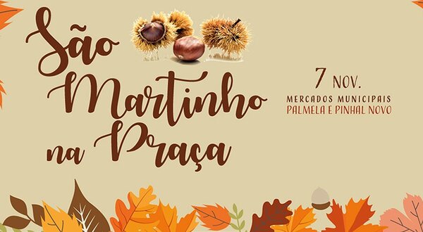 banner_site_s_martinho