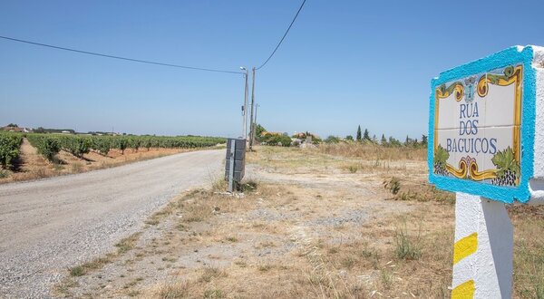rua_dos_baguicos