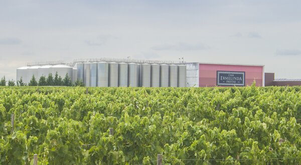 casa_ermelinda_freitas