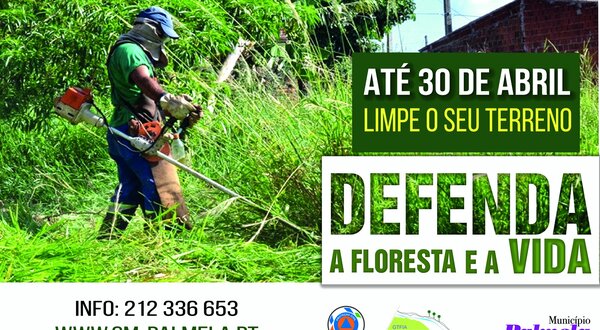 defenda_a_floresta_limpeza_de_terrenos_outro_03