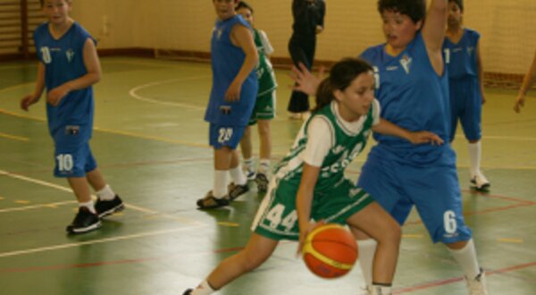 basquetebolthumb