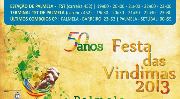 deixeocarroemcasasite