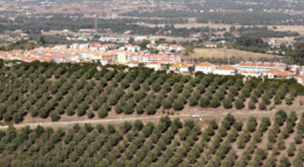 repavimentacaovalebarris