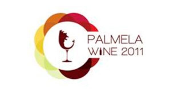 palmelawinethumb
