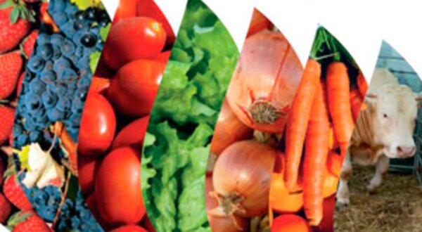 feiracomercialagricolapoceiraothumb