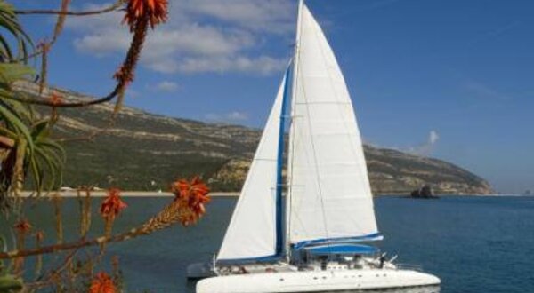 1044247_674264662588016_1836043124_n