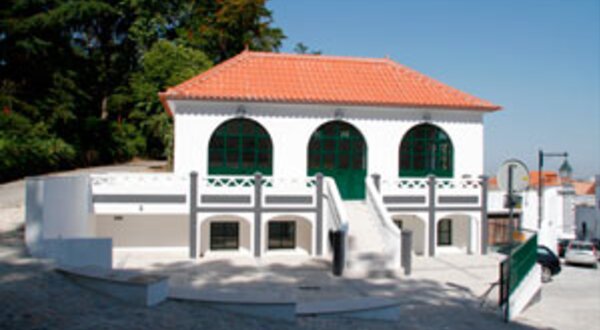 antigossanitariospublicosthumb