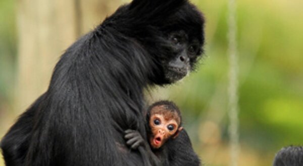 expoperigofotonuno_branco_