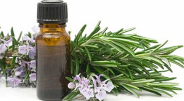 essenciasflorais_thumb