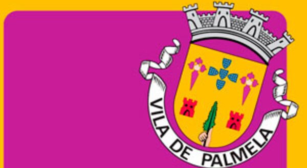 restauracaodoconcelho_newsletterthumb