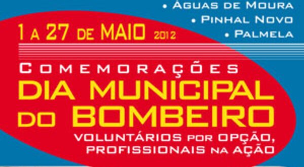 diamunicipalbombeirothumb