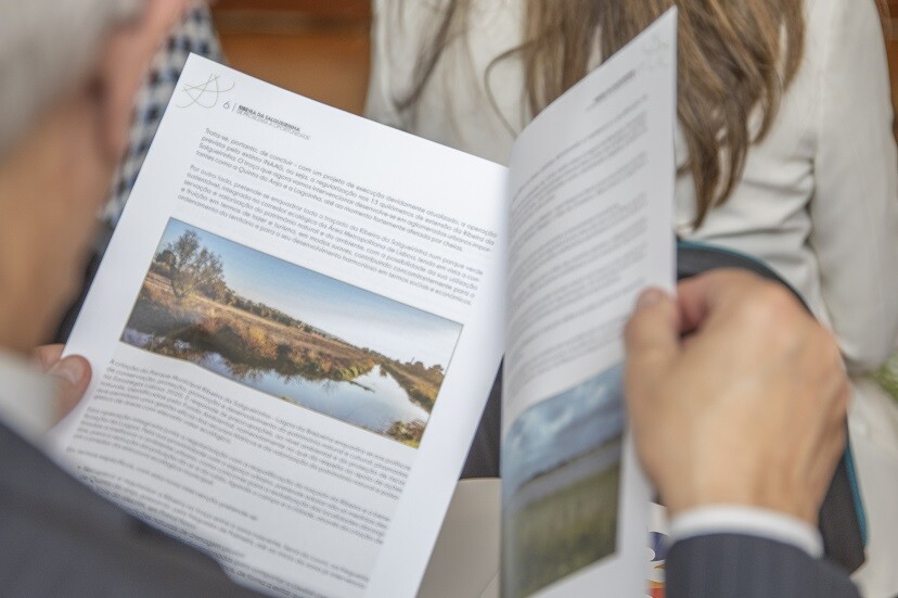 Ribeira da Salgueirinha – 2.ª fase avança até Quinta do Anjo