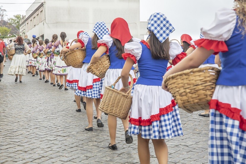 Festa das Vindimas