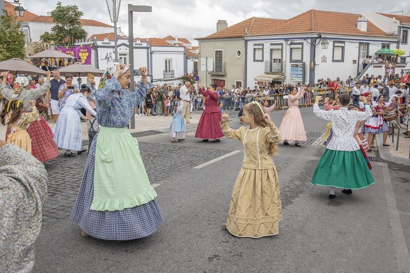 Festa das Vindimas