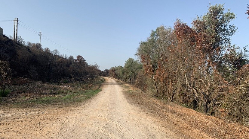 Comunicado – Reportagem TVI “Vamos tornar Palmela verde de novo”